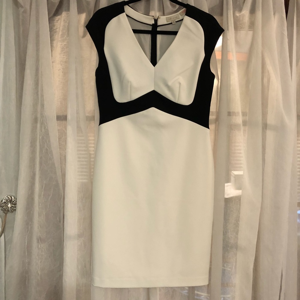 The Limited Scandal Collection Dress Size 6